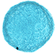 Bubble